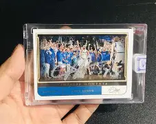 达拉斯独行侠2011总冠军